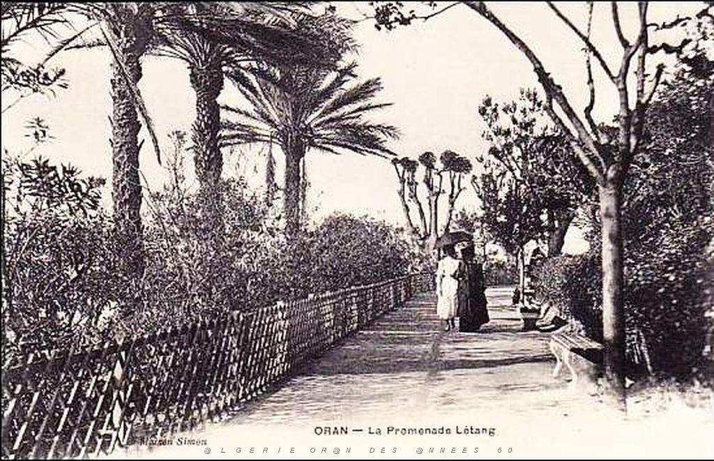 PL b - 059- Promenade de Letang B.jpg